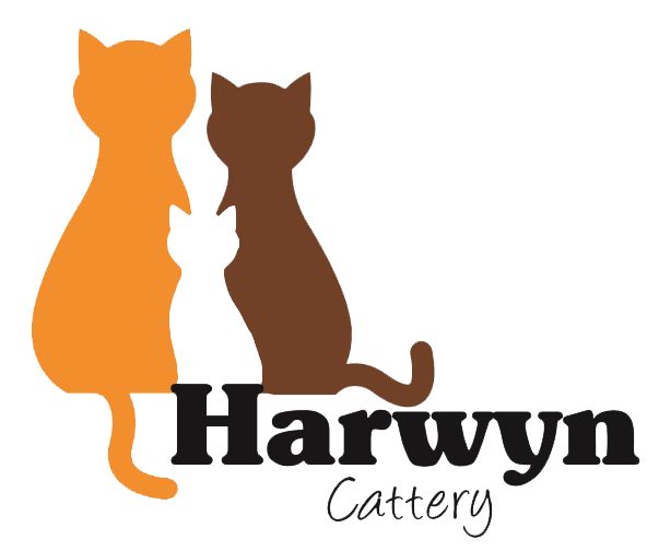 Harwyn Cattery - logo